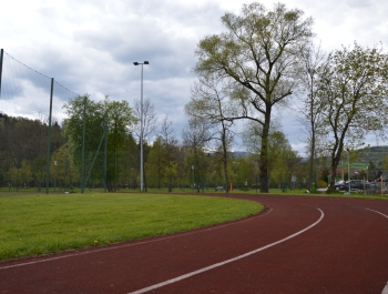 Orlik GKS - zdjęcie1